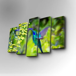 Wallity Cuadro Decorativo en Lienzo 5 Piezas 5PUC-075 Multicolor